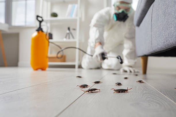 Post-Treatment Bed Bug Interceptor Monitoring in Columbiana
