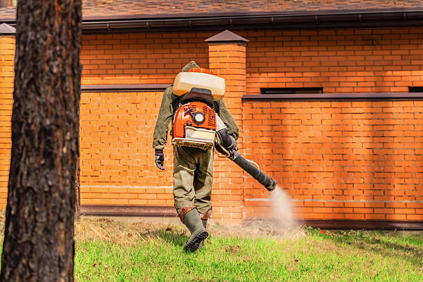 Bed Bug Clearance Verification and Documentation in Columbiana